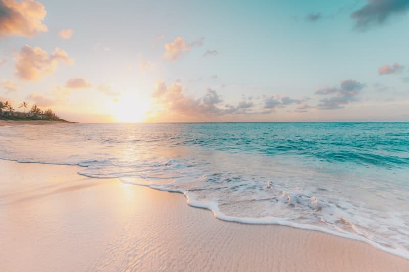 Isabela Carvalho